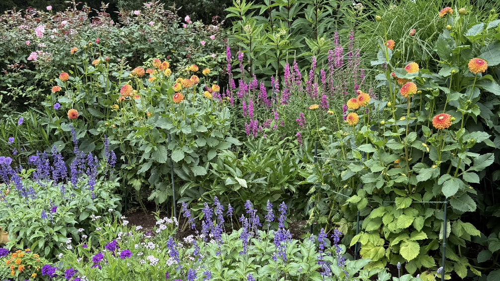 East End Garden Tours